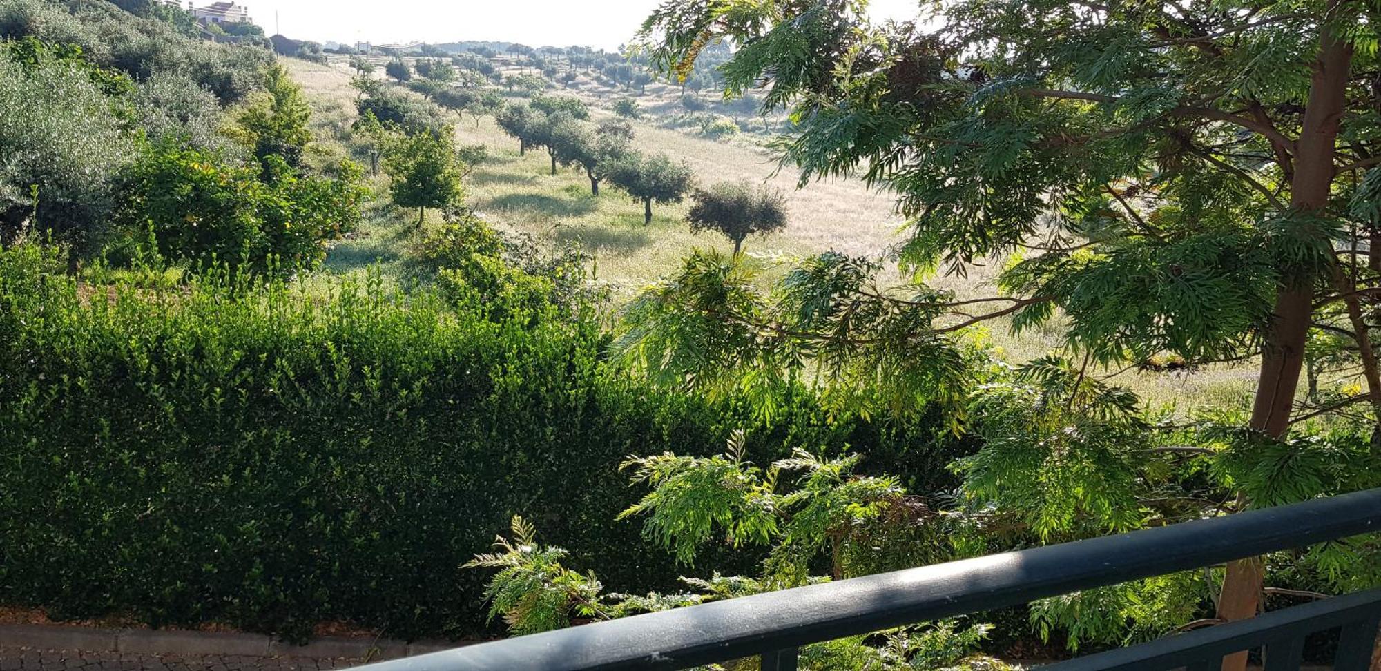 הוילה Escalos de Cima Alto Do Sobreiro מראה חיצוני תמונה